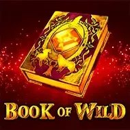 Book of Wild1spin4win game icon